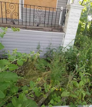 10749 South Edbrooke Avenue Chicago IL 60628